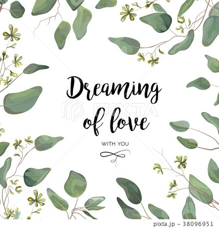 Vector floral card design with Eucalyptus leaves 38096951