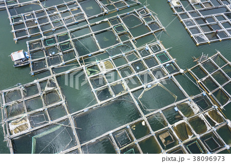 Aerial: Fish Farm Pond. Bali, Indonesia. 38096973