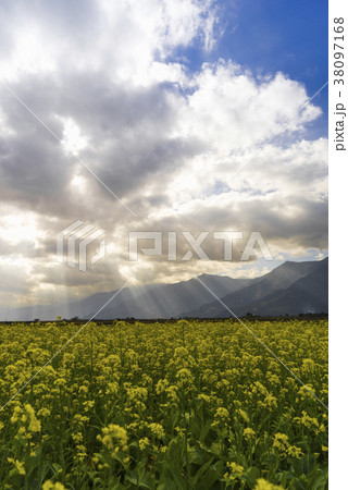 屋外 野外 アウトドア 38097168