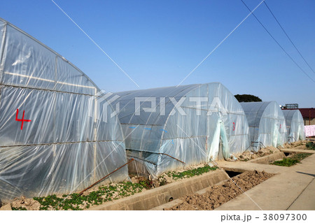 Large greenhouse for plants in the autumn 38097300