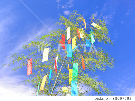 七夕飾り-19409 38097592