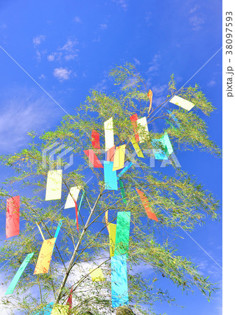 七夕飾り-19410 38097593