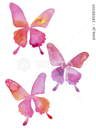 アゲハ蝶の水彩イラストのイラスト素材
