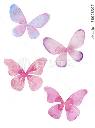 蝶の水彩イラストのイラスト素材