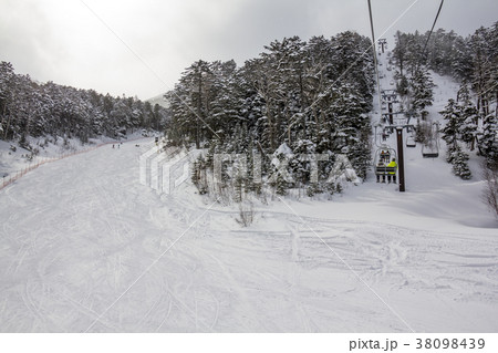 長野県　開田高原マイアスキー場 38098439