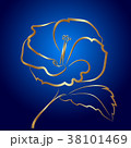 Hibiscus flower sketch gold on blue 38101469