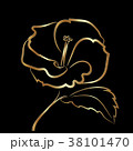Hibiscus flower sketch gold on black 38101470