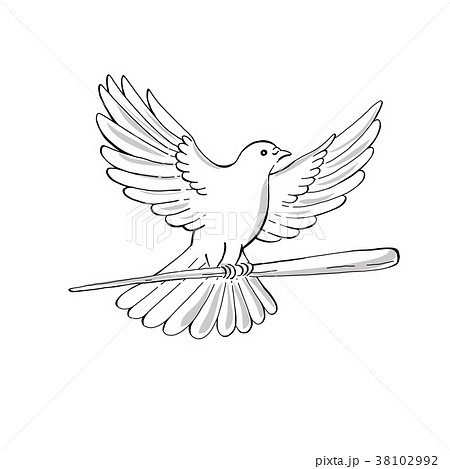 Pigeon Or Dove Flying With Cane Drawingのイラスト素材