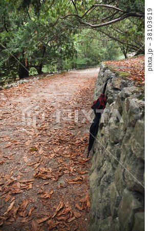 Black umbrella stands in autumn park 38103619