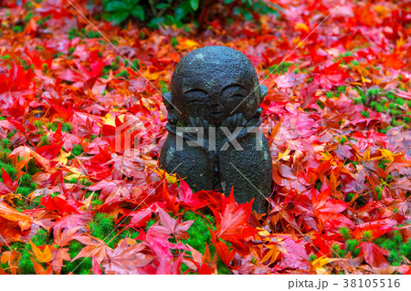 京都 圓光寺の紅葉 京都 圓光寺の紅葉 38105516