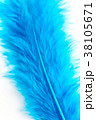 Close-up of Blue feather  isolated on white 38105671