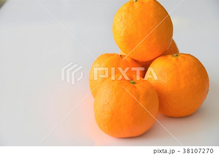 甘いポンカン 甘いポンカン 38107270