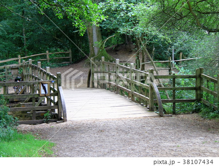 イギリス・ハートフィールド　プーの橋 38107434