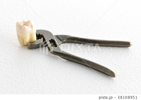 抜歯 抜歯 38108951