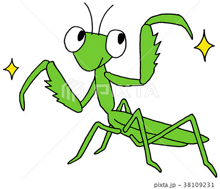 Mantis Stock Illustration