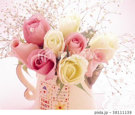 薔薇 バラ科 バラ 38111139