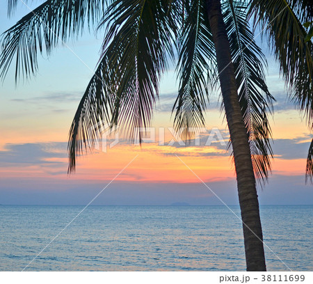 sunset 38111699