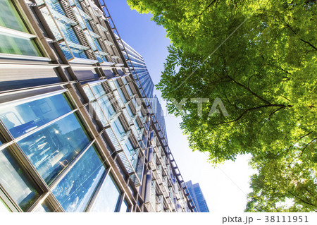 オフィス街の高層ビルと緑 38111951