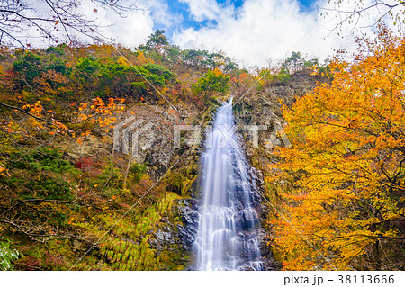 日本の滝100選 但馬名三瀑の一つ 紅葉に囲まれた天滝 兵庫県 作品コメント欄に撮影位置情報有の写真素材