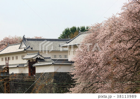霞城公園の桜 38113989