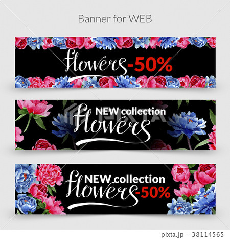 Wildflower red and blue peonies flowers frame in a 38114565