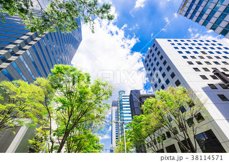 新緑のオフィス街　新宿副都心 38114571
