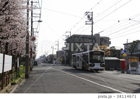 市内を走る阪堺電車 38114671