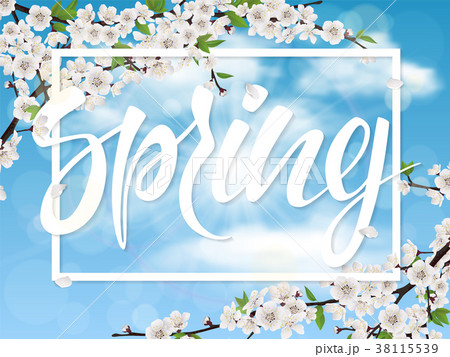 Spring lettering cherry tree sky 38115539