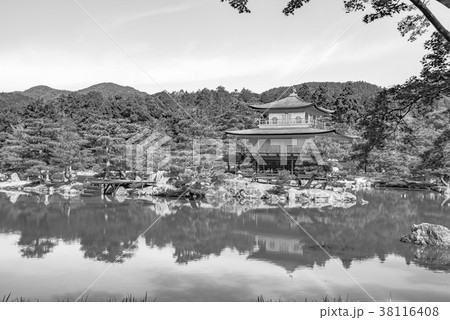 【モノトーン】新緑の金閣寺 38116408