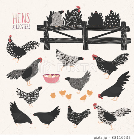 Vector set of various hens and roosters 38116532