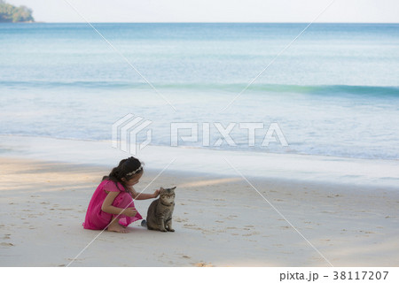 ビーチで猫と遊ぶ女の子 38117207