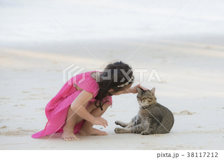 ビーチで猫と遊ぶ女の子の写真素材