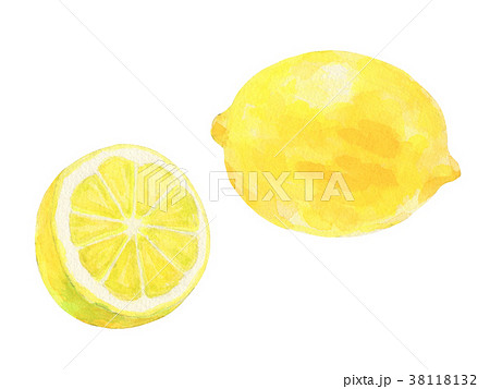 レモン 水彩のイラスト素材