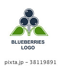 Blueberries Or Bilberries Logo 38119891