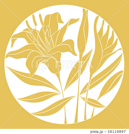 Ground-reverse lily flowers 38119897