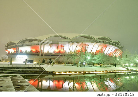 冬のビッグスワンライトアップ（新潟県） 38120518