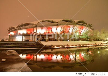 冬のビッグスワンライトアップ（新潟県） 38120525