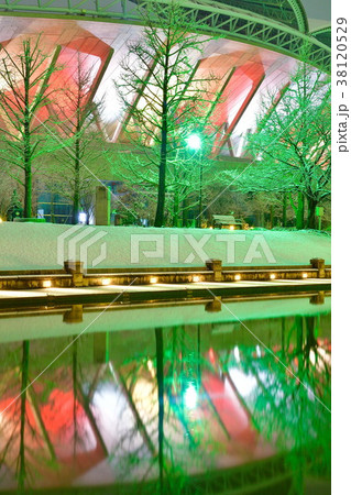 冬のビッグスワンライトアップ（新潟県） 38120529