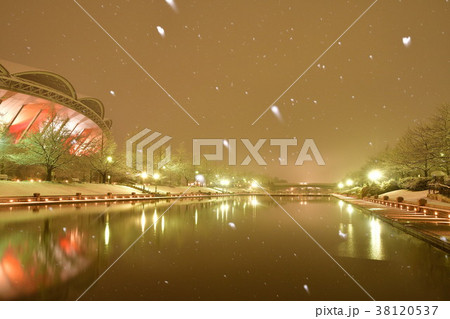 冬のビッグスワンライトアップ（新潟県） 38120537