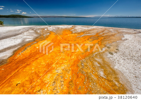 Hot thermal spring in Yellowstone 38120640