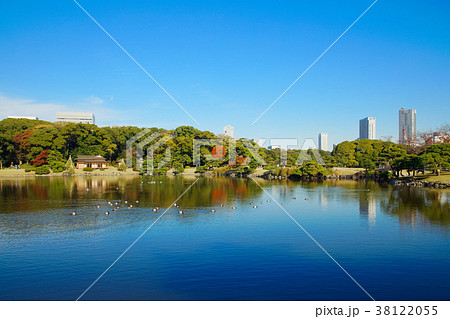 浜離宮恩賜公園の紅葉と湖面に映える景観 浜離宮恩賜公園の紅葉と湖面に映える景観 38122055