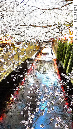 桜 さくら サクラ 38123871