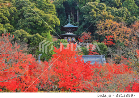 永観堂の紅葉（多宝塔） 38123997
