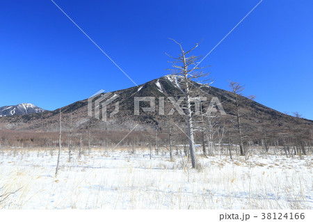 戦場ヶ原と男体山　雪景色 38124166