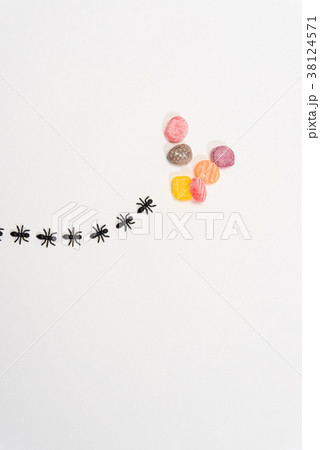 アリの行列 38124571