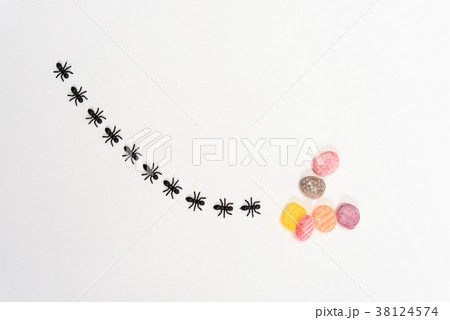 アリの行列 38124574