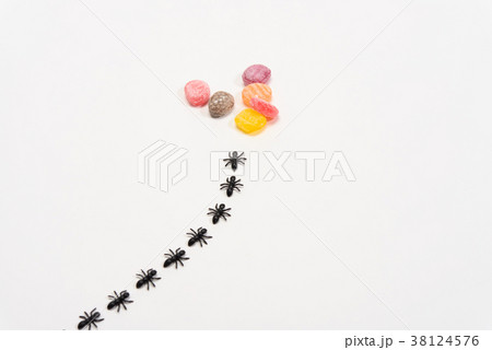 アリの行列 38124576