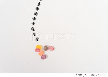 アリの行列 38124580