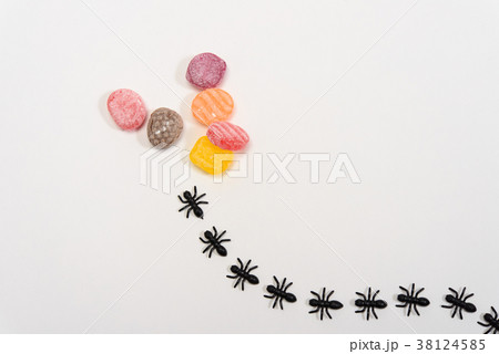 アリの行列 38124585