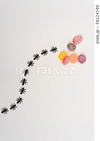 アリの行列 38124586